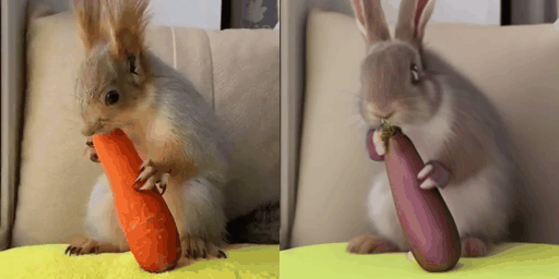 mf6ed0ot.png mf6ed0ot.png